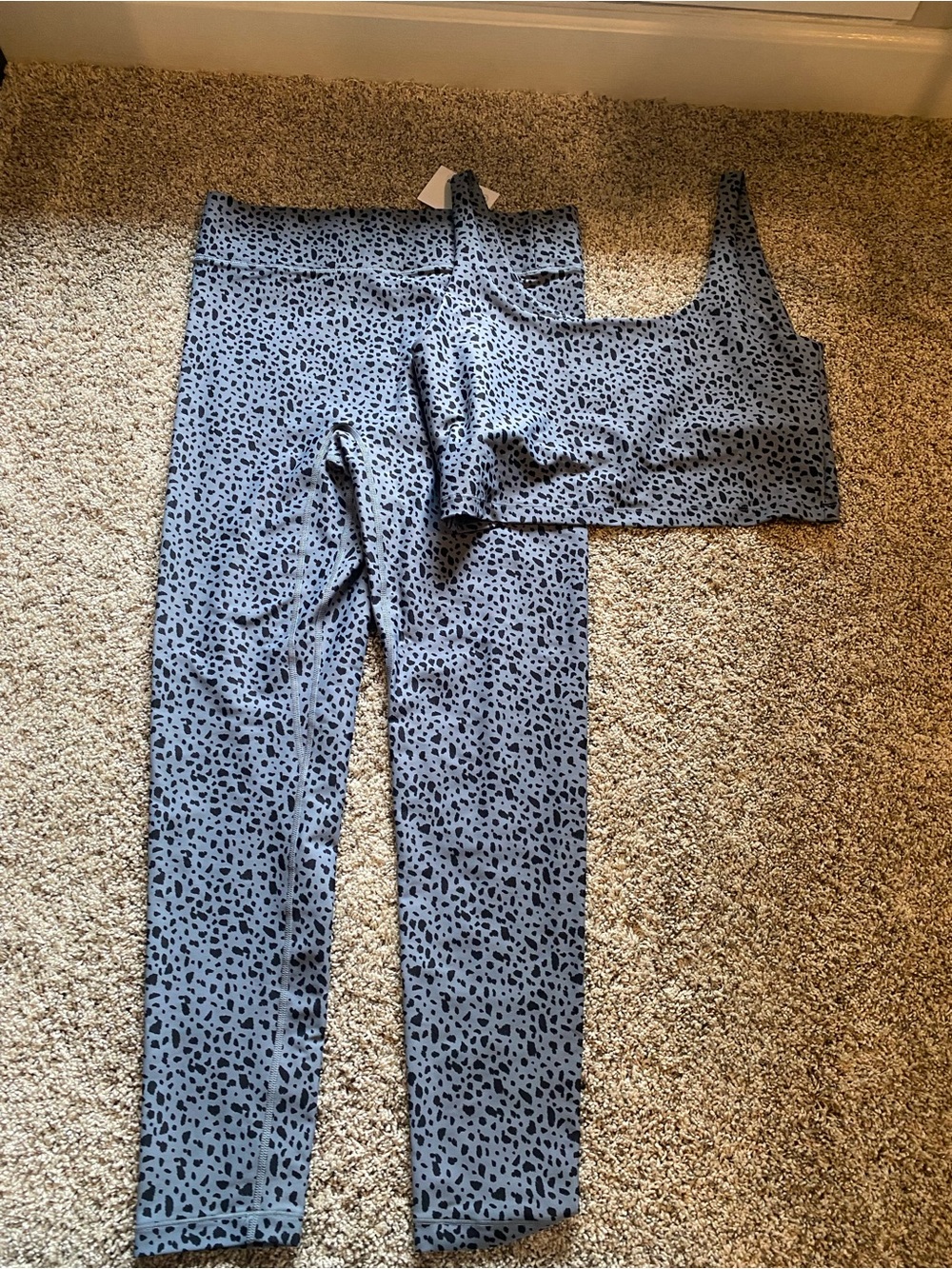 NWT Bandier All Access Cheetah Crop Sports Bra and Leggings - Large